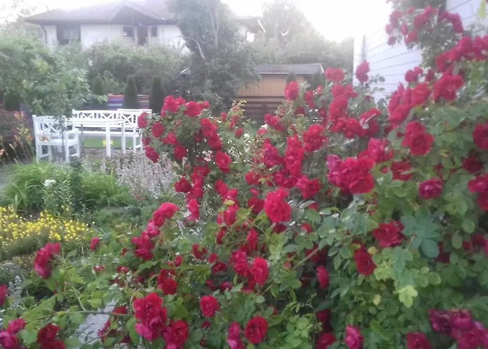 게스트하우스 White 4*